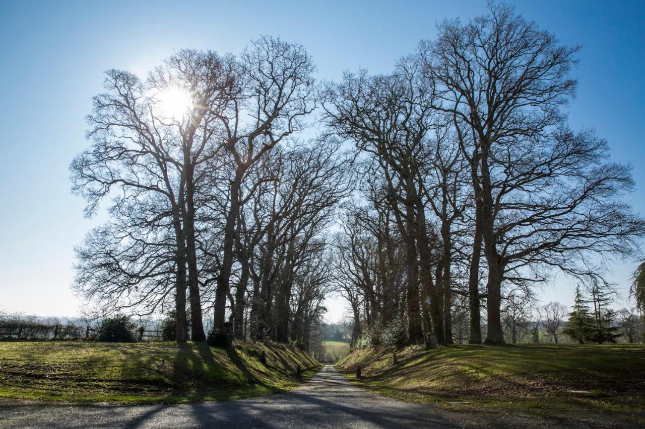 Chateau Des Monts Barbeville Zewnętrze zdjęcie